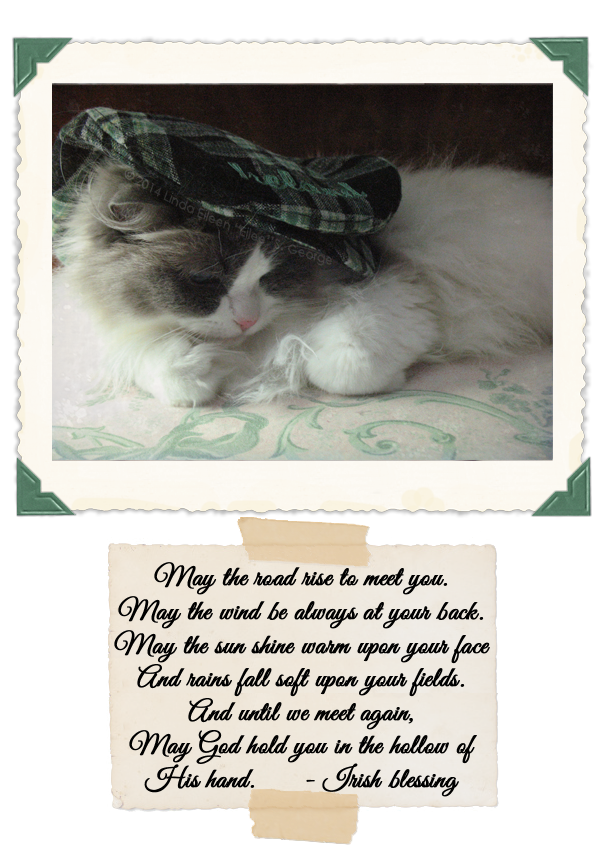 Yeti-the-Cat-Yeti-St-Pat