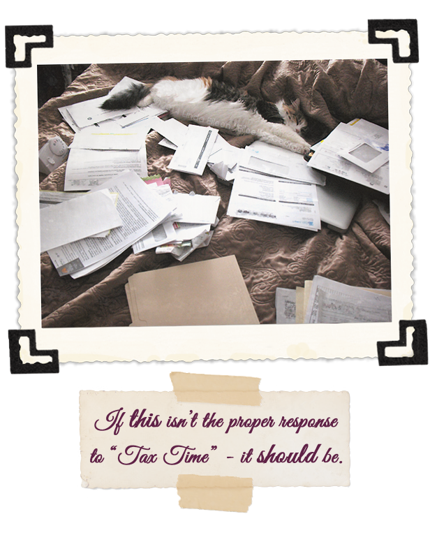 Yeti-the-Cat-Boo-Taxes-If-this-is-not-the-proper-response-to-tax-time-it-should-be