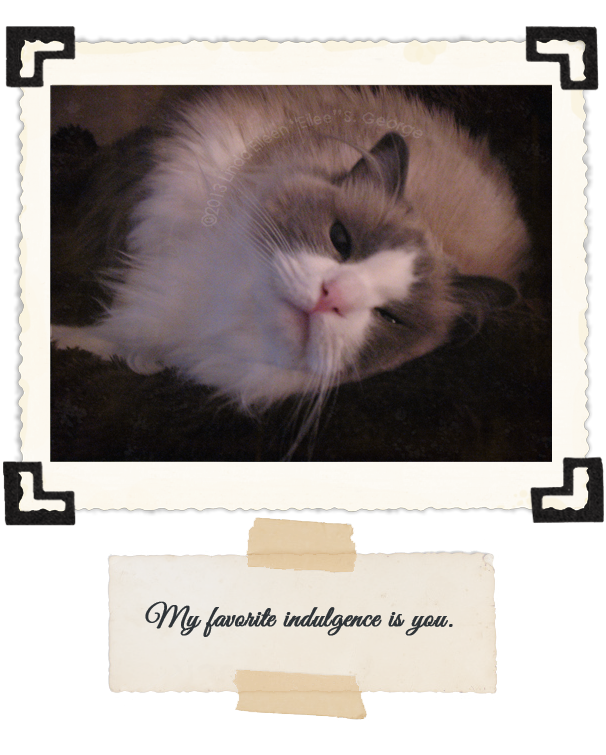 Yeti-the-Cat-Muggin
