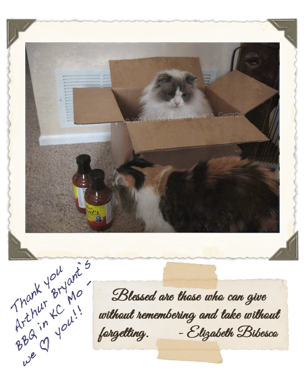 Yeti-the-Cat-Boo-BBQ