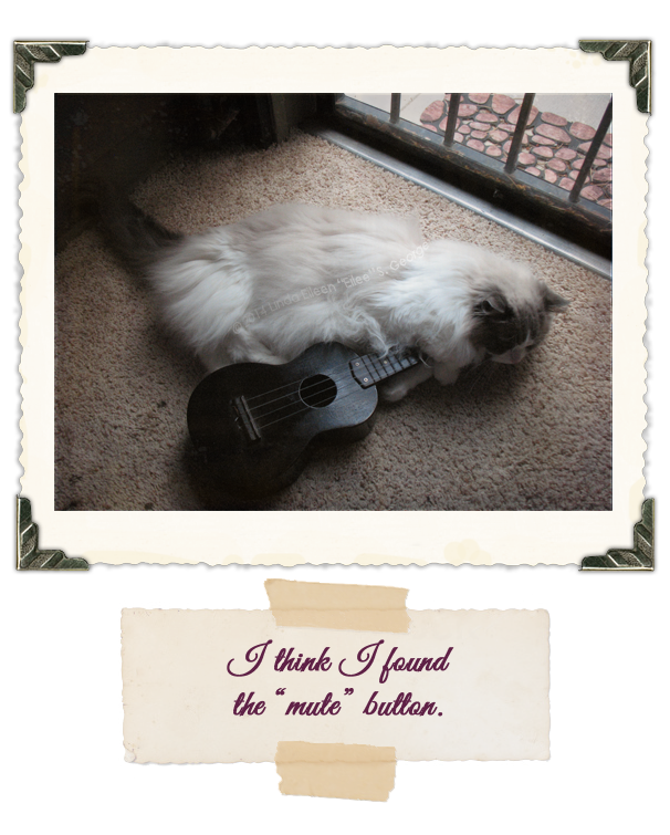 Yeti-the-Cat-Uke