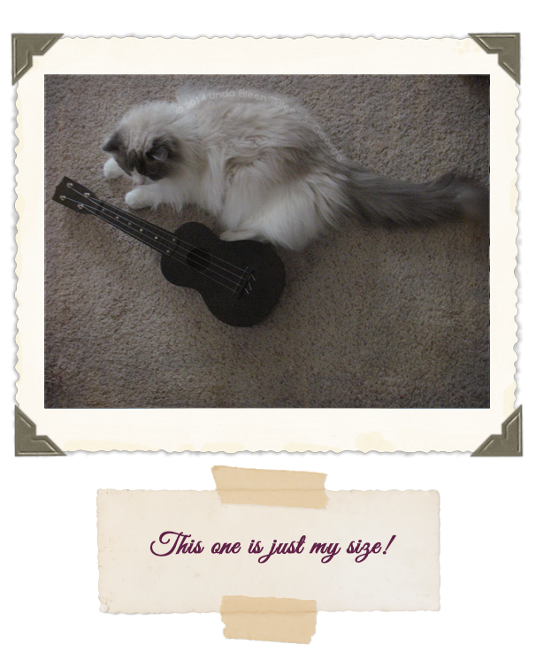 Yeti-the-Cat-Uke-1