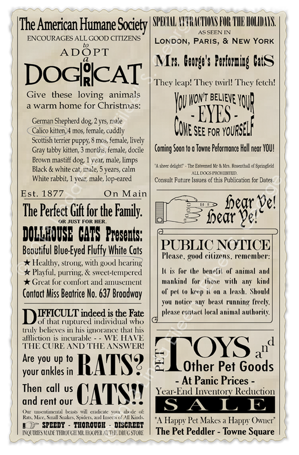 Yeti-the-Cat-Classifieds-by-Lin-Eilee-S-George