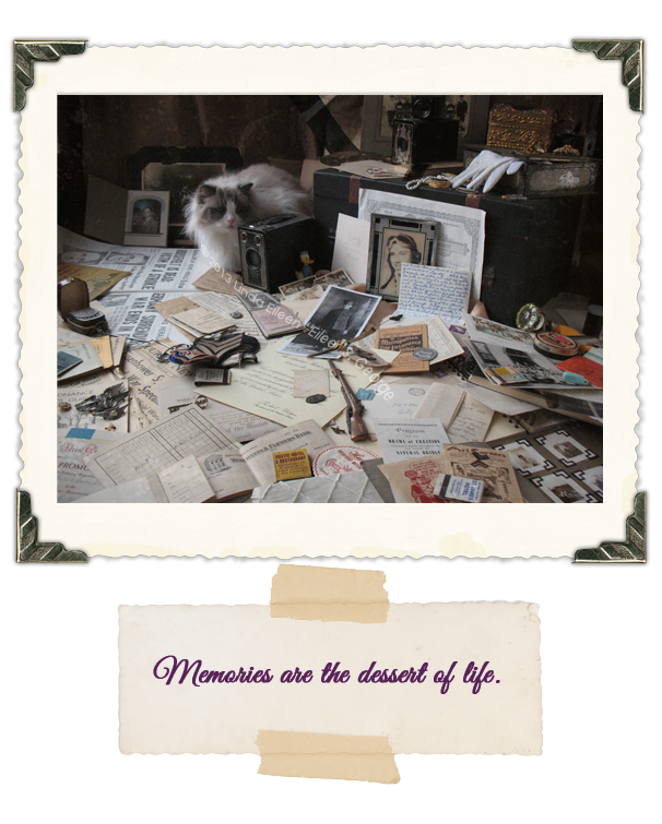 Yeti-the-Cat-MemoryDessert