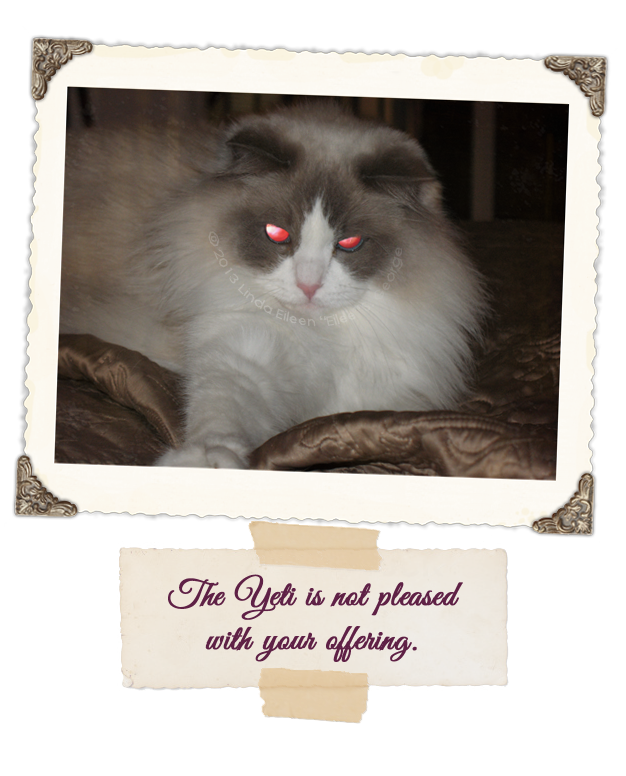 Yeti-the-Demon-Kitty-Not-Pleased-w-Ur-Offering