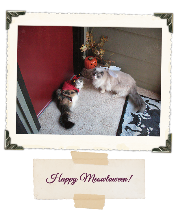 Boo-Yeti-the-Cats-Happy-Meowloween