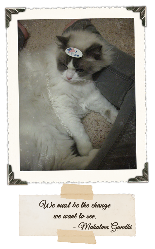 Yeti-the-Cat-Voted-by-L-E-S-George